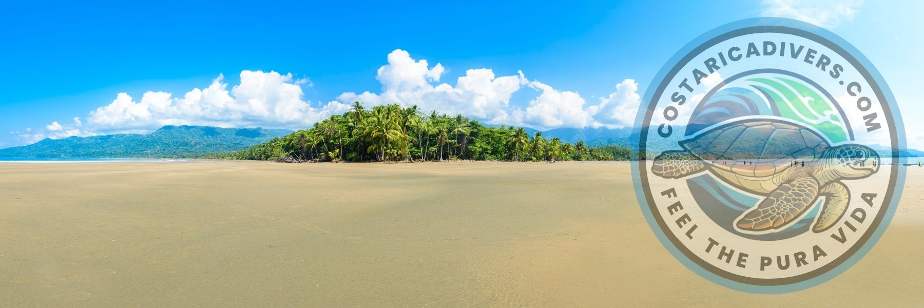 Scuba Diving in Marino Ballena, Uvita – Dive the Whale Tail Reef