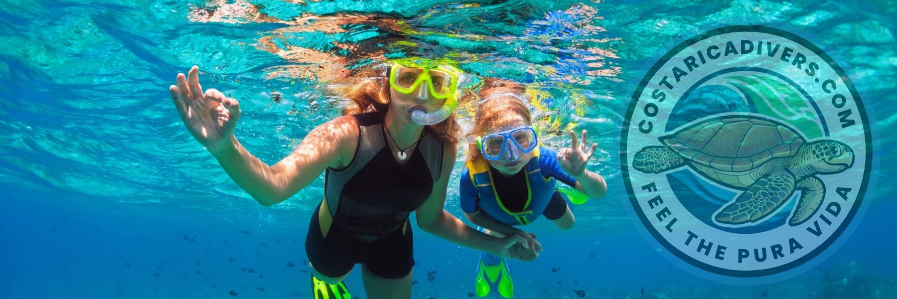 Snorkeling at Caño Island from Uvita