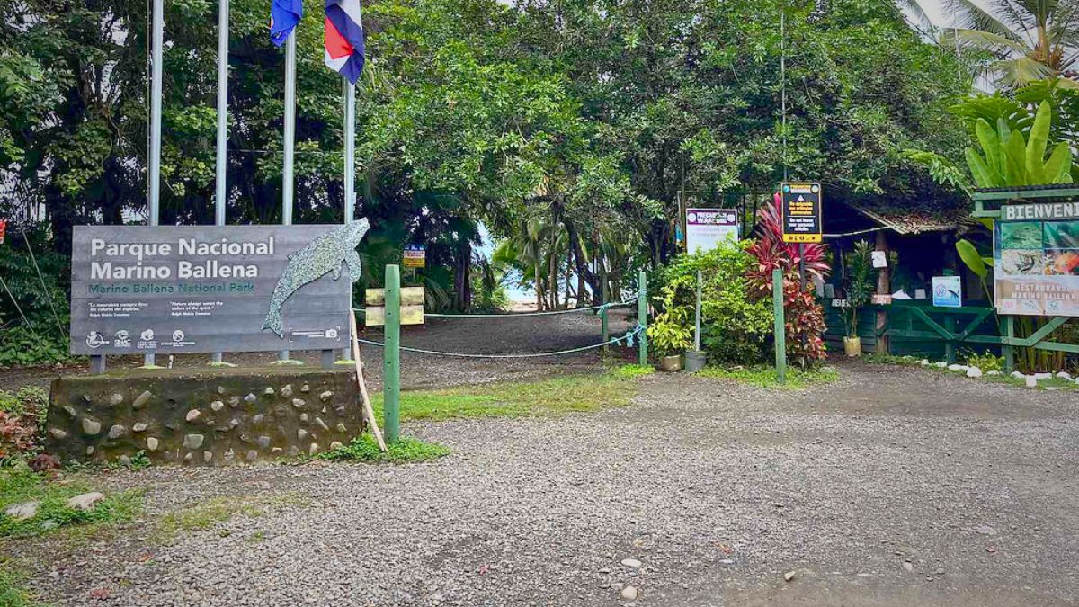 Where Is Marino Ballena National Park Located
