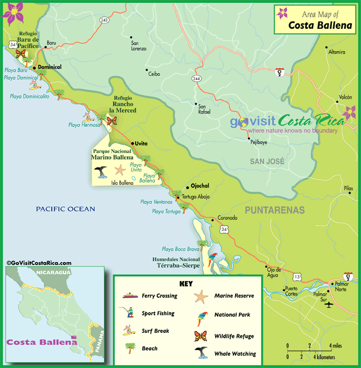 Where Is Marino Ballena National Park Located