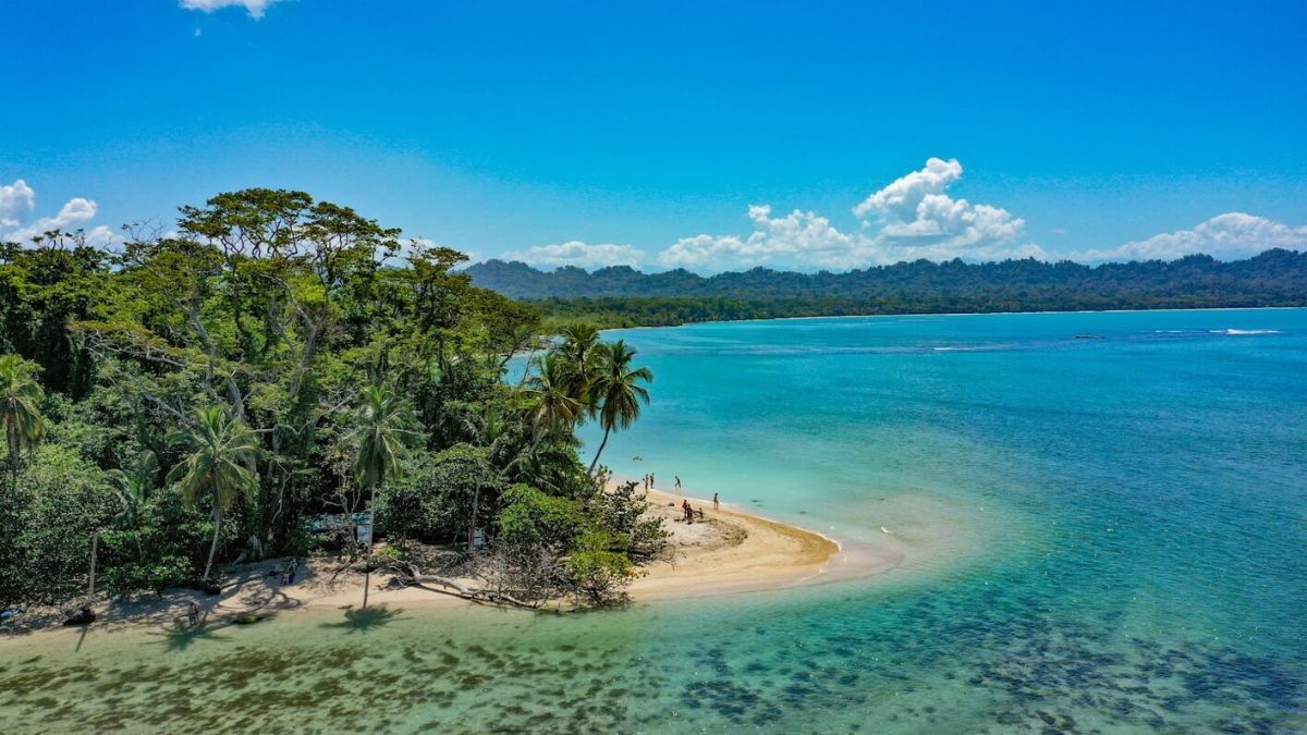 snorkeling in costa rica Is Cahuita National Park Good for Snorkeling